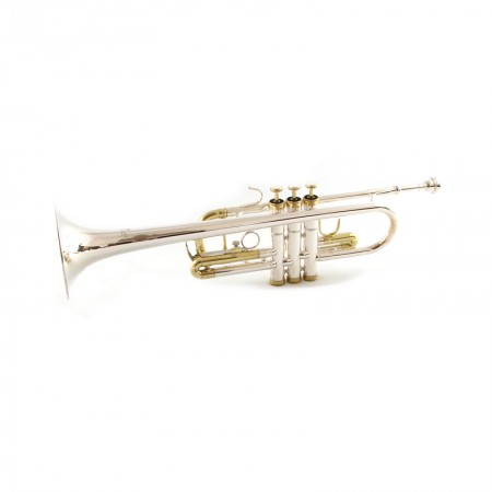 Model C Silver with Gold Trumpet