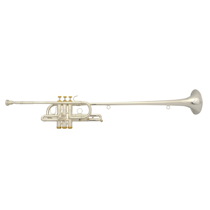 Elite Herald Trumpet Silver & Gold Plated