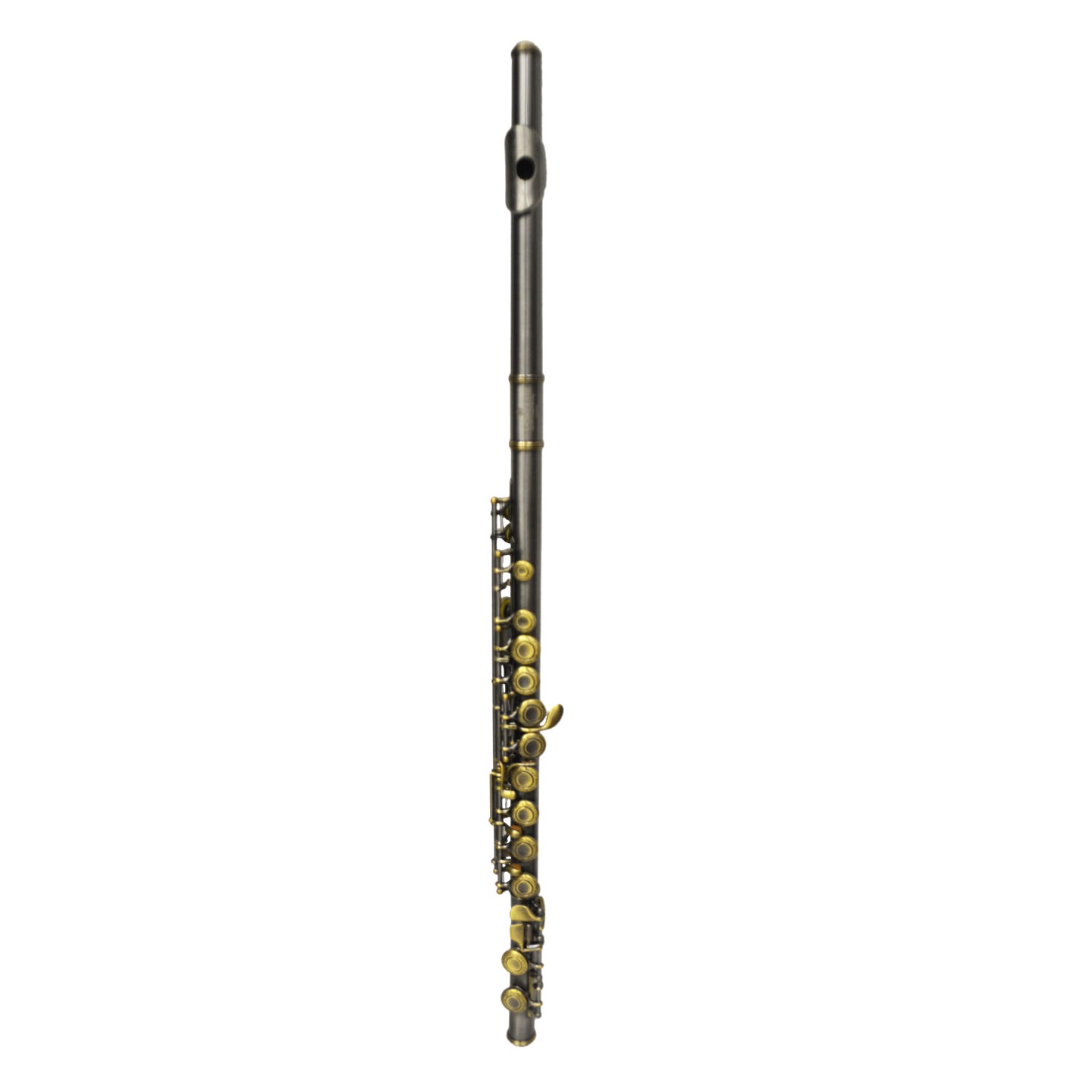 Schiller 200 Series Flute - Satin Silver and Antiqued Gold Keys