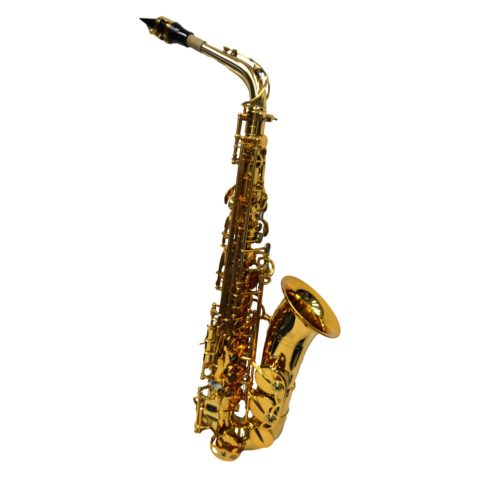 Elite V Pro Artist Alto Saxophone - Gold