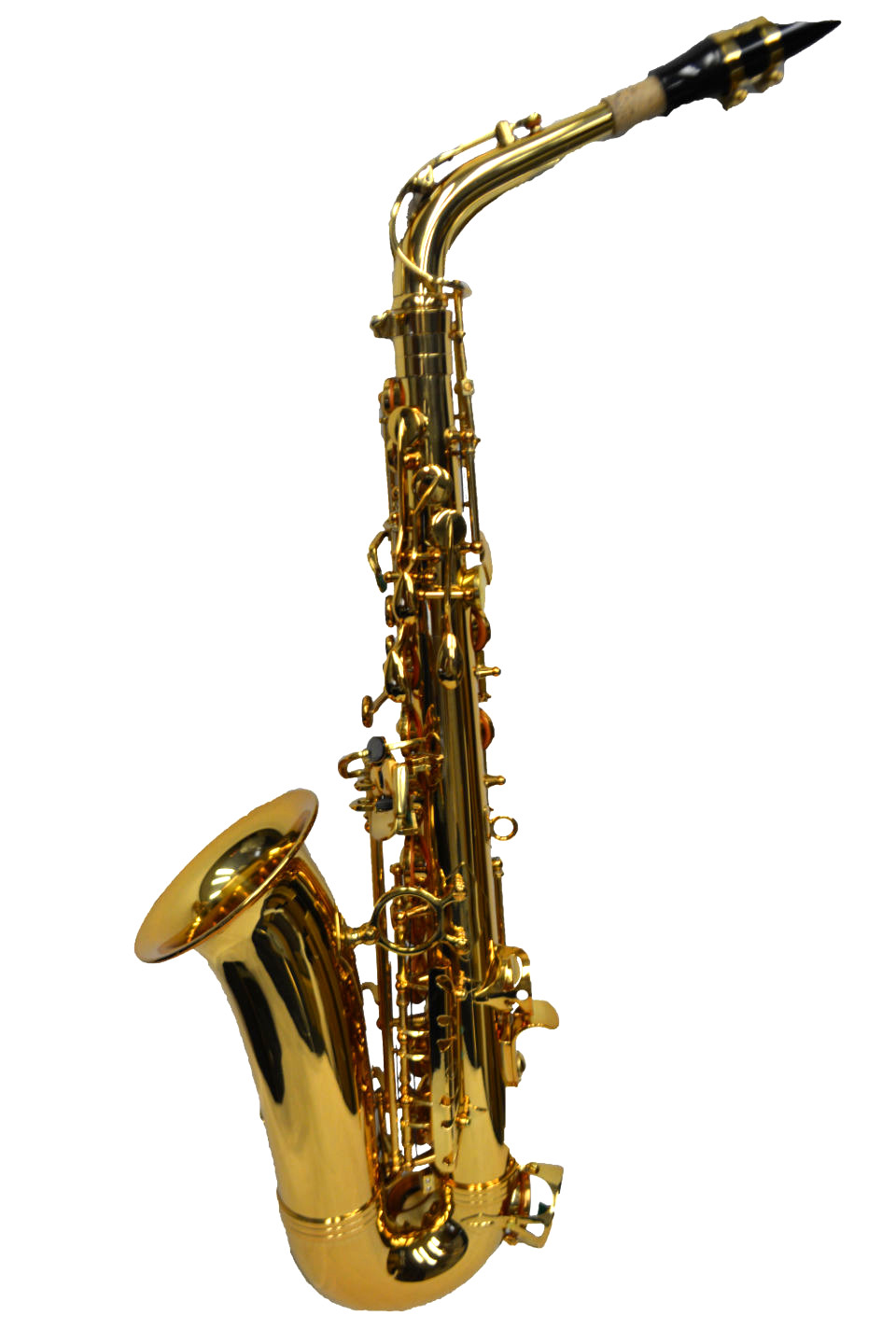 Elite V Pro Artist Alto Saxophone – Gold