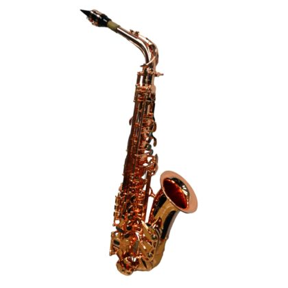 Elite V Pro Artist Alto Saxophone brass