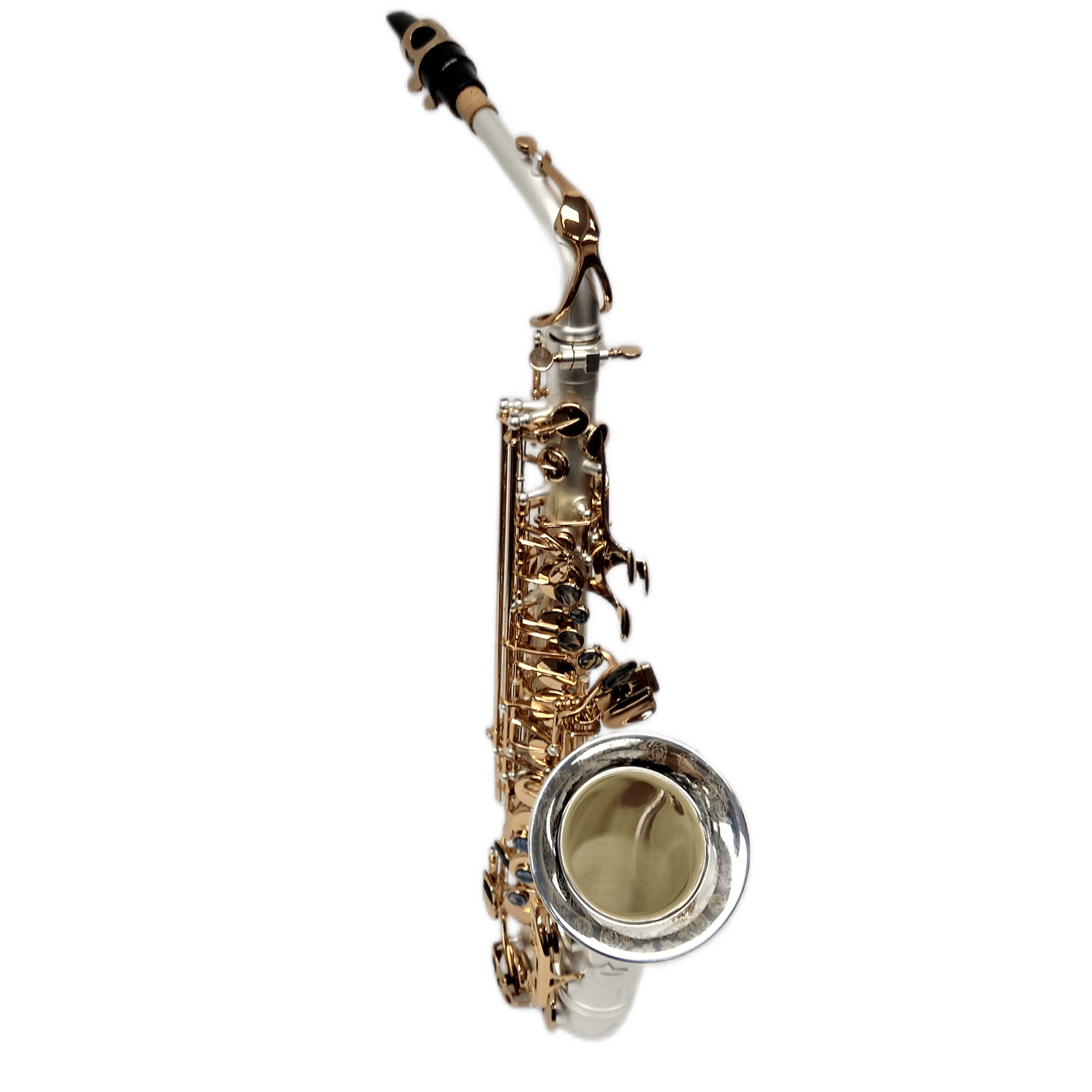 Elite V Alto Saxophone Satin Silver/Gold Keys Big Bell