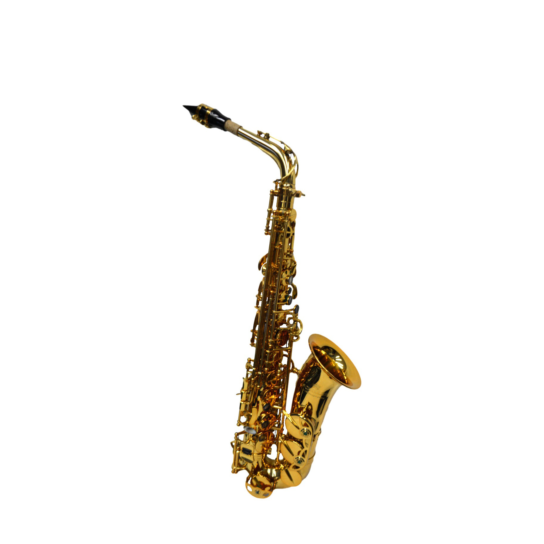 Elite V Pro Artist Alto Saxophone - Gold